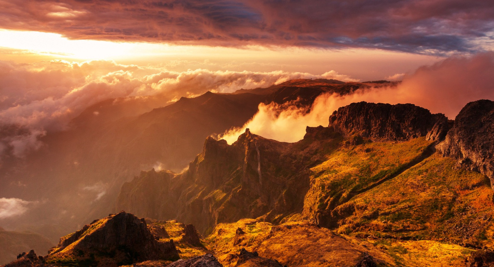 Pyrenees